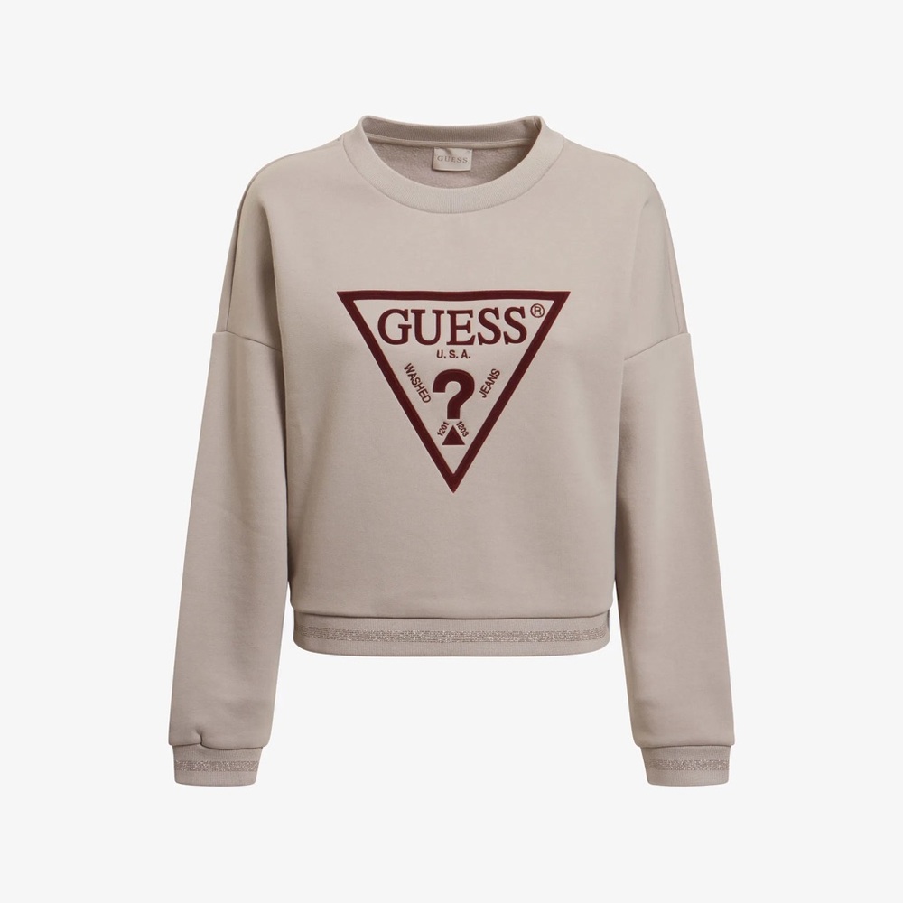 Guess “Day Dust” Hoodie - Size XS